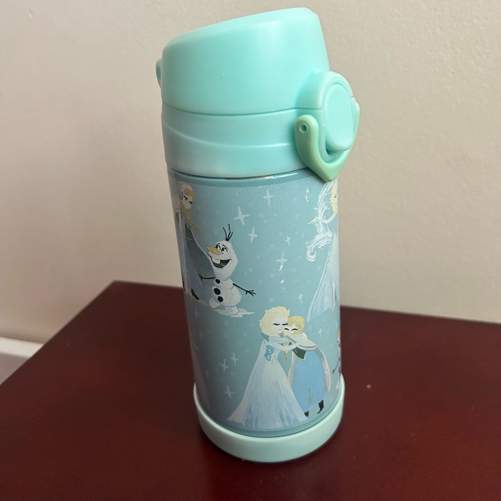 Pottery Barn Kids Frozen Mint Green Insulated Water Bottle